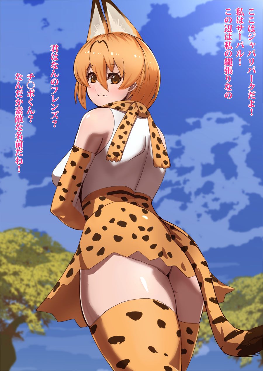 け もの フレンズ r18